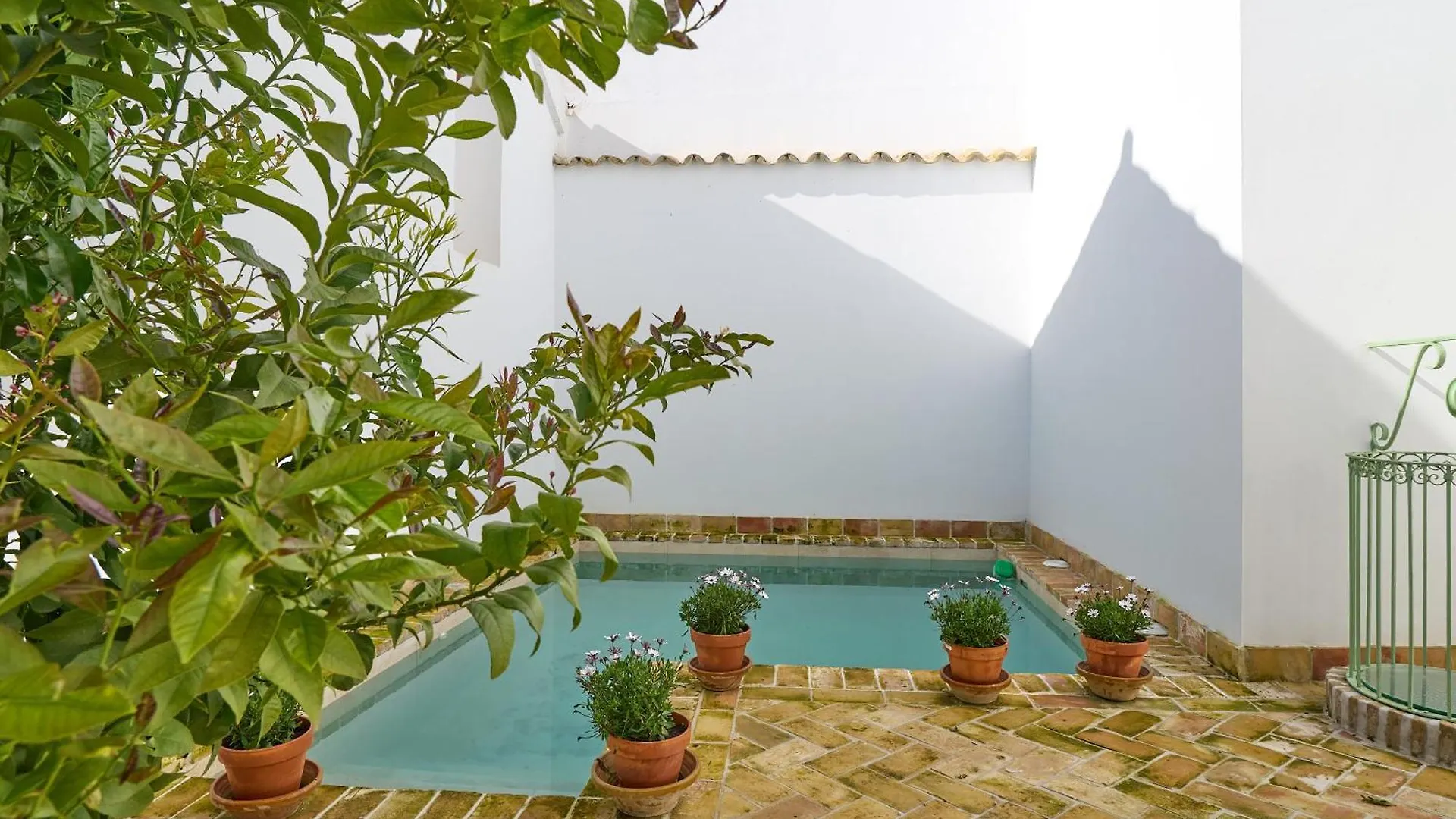 Casa Palacio Vida Espejo